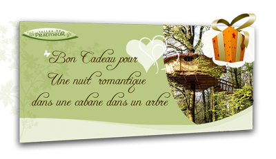 Bon cadeau pour une nuite dans une cabane dans un arbre