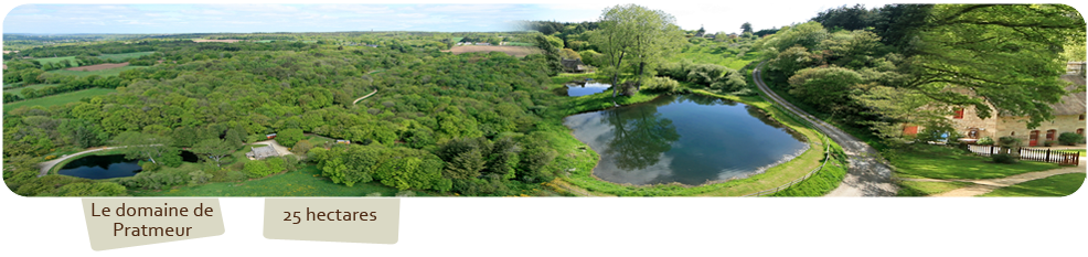 Domaine de Pratmeur