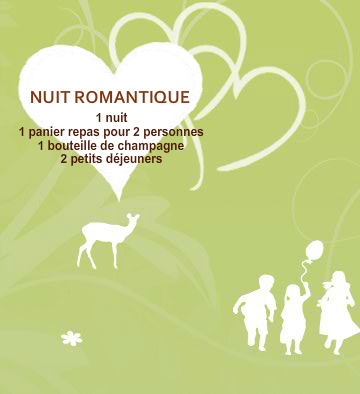 Bon cadeau pour une nuit romantique