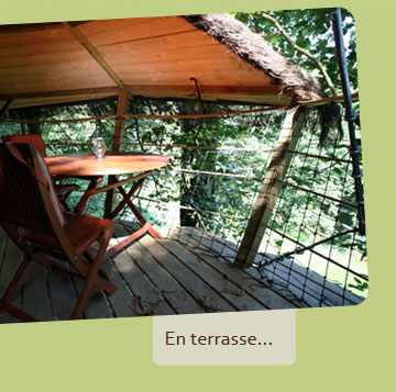 Cabane dans les arbres